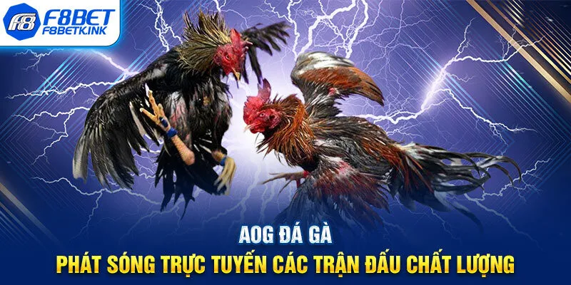 AOG đá gà