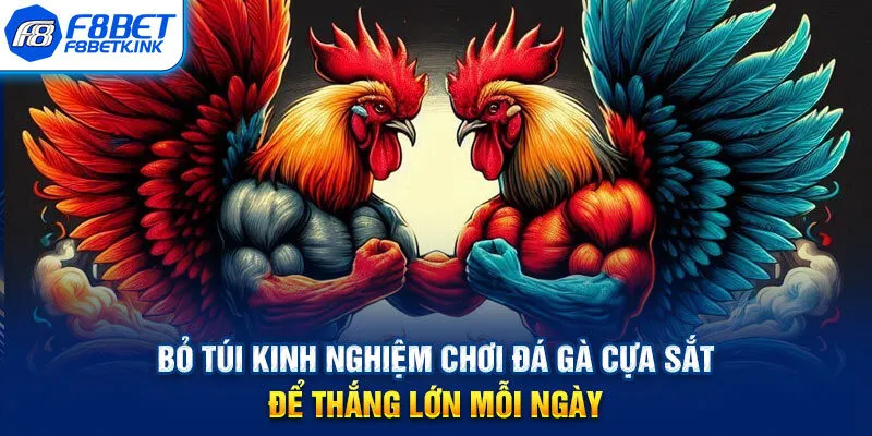 Bỏ túi kinh nghiệm chơi đá gà cựa sắt để thắng lớn mỗi ngày