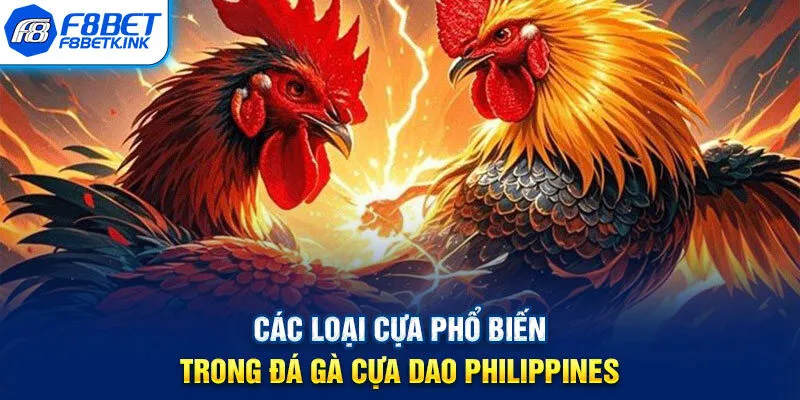 Các loại cựa phổ biến trong đá gà cựa dao Philippines