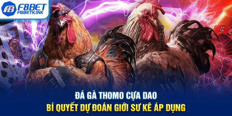 Đá Gà Thomo Cựa Dao
