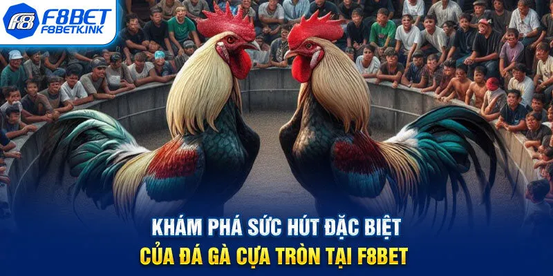 Khám phá sức hút đặc biệt của đá gà cựa tròn tại F8BET 
