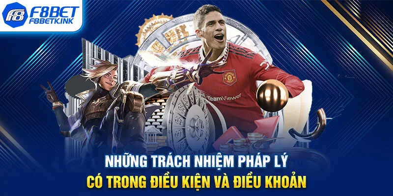 Những trách nhiệm pháp lý có trong điều kiện và điều khoản