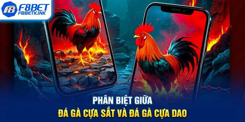 Phân biệt giữa đá gà cựa sắt và đá gà cựa dao